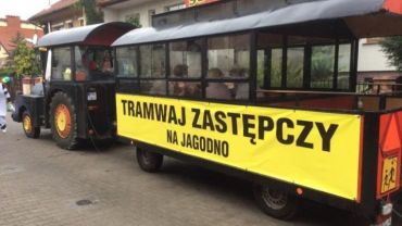 Buspas na Jagodno ściga się z tramwajem na Jagodno: też go nikt nie widział i długo jeszcze nie zobaczy