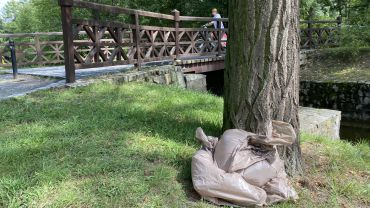 Wrocław: Wyłowili ze stawu martwe ryby. Zostawili je pod drzewem w parku