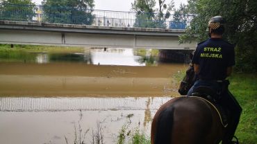 Zagrożenie powodziowe we Wrocławiu. Straż miejska ostrzega, rzeki wzbierają