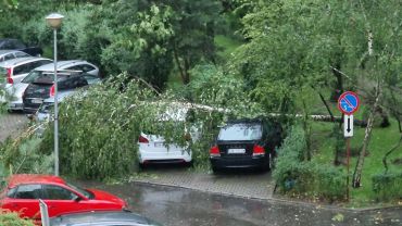Cyklon Peggy we Wrocławiu. Drzewo spadło na człowieka, ulice pod wodą