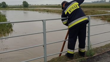 Przybywa wody w rzekach pod Wrocławiem. Są pierwsze alarmy