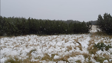 W Karkonoszach spadł pierwszy śnieg. Zobaczcie zdjęcia