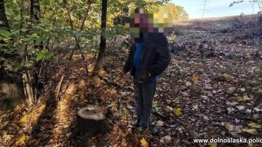 Ukradł sąsiadowi kilkadziesiąt drzew. Drewno sprzedał w wiosce na opał