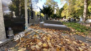 Wrocław: Kończy się miejsce na cmentarzach. Za kilka lat nie będzie gdzie chować zmarłych