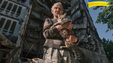 Koty uratowane na Ukrainie przyjechały do Wrocławia. Będą do adopcji [ZDJĘCIA]