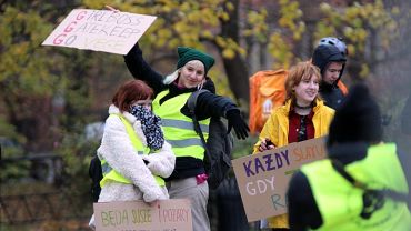 Młodzieżowy Strajk Klimatyczny przeszedł przez Wrocław [ZDJĘCIA]