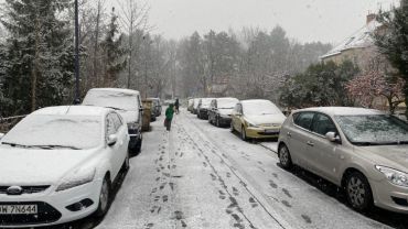 We Wrocławiu pada śnieg. Czy na ulice wyjadą pługi?