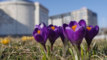 Wrocław: Wiosna w lutym? Dwucyfrowe temperatury bardzo możliwe