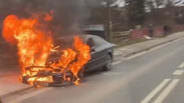 Wrocław: Pożar samochodu na Pełczyńskiej. Interweniowali strażacy