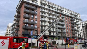 Wrocław: Pożar mieszkania przy ul. Białowieskiej. Akcja strażaków na ósmym piętrze