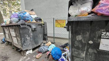 Mieszkańcy Przedmieścia Oławskiego walczą o wiatę na odpady. Sąsiedzi podrzucają im śmieci