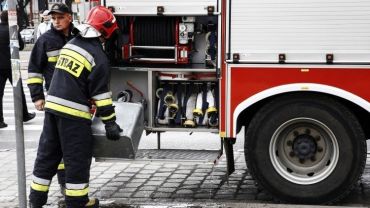 Wrocław: Pożar mieszkania na Swojczycach zaczął się od pralki. Strażacy uratowali kota