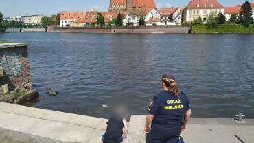 Wrocław: Wypoczynek nad Odrą tak, ale kąpiel nie. Możemy dostać mandat