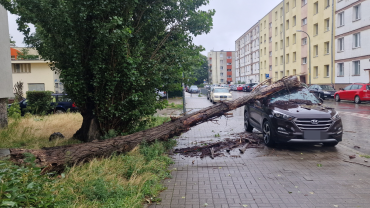 Ulewa we Wrocławiu. Powalone drzewa, zalane ulice i parkingi [ZDJĘCIA]