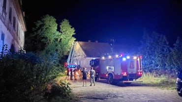Nawałnica pod Wrocławiem. Strażacy usuwali powalone drzewa [ZDJĘCIA]