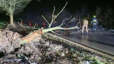 Straż usuwa skutki wichury: połamane drzewa, uszkodzone samochody