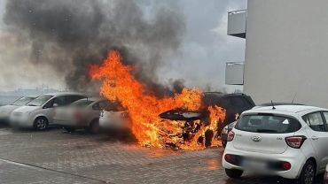 Cztery auta spłonęły pod Wrocławiem [ZDJĘCIA]