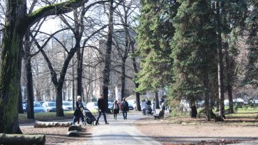Pierwszy powiew wiosny we Wrocławiu. Tłumy w parkach i na ulicach