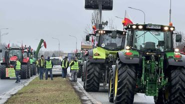 Strajk rolników Wrocław 15 lutego - 500 traktorów w mieście [OBJAZDY, KORKI, ZMIANY W MPK]