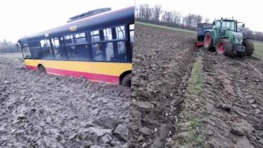 Kierowca autobusu chciał skrócić drogę. Zakopał się w polu
