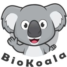 Biokoala sklep internetowy z ekologiczną żywnością