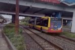 Wrocław: Prawdziwy autobus za tramwaj wyjechał na tory