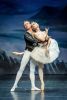 „Jezioro łabędzie”, The Royal Moscow Ballet, Mat. pras.