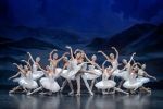 „Jezioro łabędzie”, The Royal Moscow Ballet, Mat. pras.