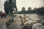 12 lipca 1997 wielka woda zalała Wrocław, sebasr (zbiory prywatne)/fotopolska.eu