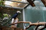 Niezwykle rzadki ptak przyszedł na świat we wrocławskim zoo, 