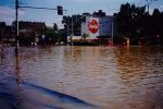 Powódź Tysiąclecia we Wrocławiu. Zobacz zdjęcia sprzed 20 lat [GALERIA], 