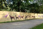 Zoo ma już nowy mural. W sobotę odsłonięcie [ZDJĘCIA], 