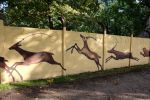 Zoo ma już nowy mural. W sobotę odsłonięcie [ZDJĘCIA], 