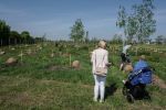 Nowy park we Wrocławiu. Na Oporowie posadzono 200 drzew [ZDJĘCIA], 