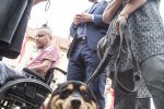 Psy pomagają nie tylko niewidomym. Urzędnicy apelują, by firmy i instytucje otworzyły się na psy asystujące, Magda Pasiewicz