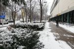 Zima we Wrocławiu. Walczy z nią 69 pługosyparek, ale i tak jest ślisko [ZDJĘCIA], Bartosz Senderek