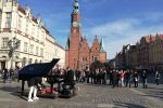 Wreszcie przyszła wiosna! Wrocławianie tłumnie ruszyli do parków [ZDJĘCIA], mgo