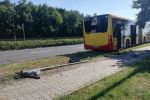 Autobus MPK potrącił ojca z dziećmi na rowerach. Jedno w ciężkim stanie [ZDJĘCIA, WIDEO], mgo