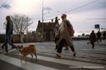 Jeden dzień z psem. Projekt fotograficzny Rosjanki z Wrocławia [ZDJĘCIA], 