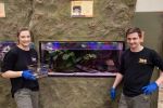 Nowe akwarium we wrocławskim zoo. Można w nim zobaczyć najbrzydszą żabę świata [ZDJĘCIA], 