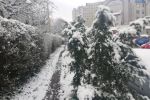 Śnieg zaskoczył wrocławian i kolejne ograniczenia w związku z epidemią [PODSUMOWANIE DNIA], Michał Hernes