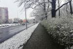 Śnieg zaskoczył wrocławian i kolejne ograniczenia w związku z epidemią [PODSUMOWANIE DNIA], Michał Hernes