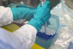 Koronawirus na Dolnym Śląsku: 26 nowych zakażonych, 24 osoby wyzdrowiały, UMWD