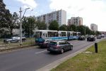 Rusza remont torowiska na Hallera. Ruch tramwajów zostanie wstrzymany [ZDJĘCIA], Bartosz Senderek