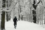 Intensywne opady śniegu. We Wrocławiu zrobiło się biało [DUŻO ZDJĘĆ], Michał Hernes