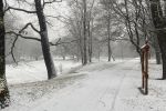 Ostrzeżenie meteo dla okolic Wrocławia: Intensywne opady śniegu, Michał Gigołła