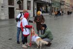 Wrocław: 30. Finał WOŚP. Wolontariusze na ulicach, wystawy w Rynku i koncerty [ZDJĘCIA], 