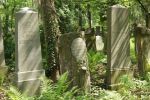 Na weekend: Cmentarz Żydowski przy ulicy Ślężnej, malkiweuropie.blogspot.com