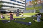 Ruszają bezpłatne zajęcia jogi na trawie w centrum miasta, Michał Nowicki