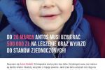 Wyłudził datki od celebrytów na nieistniejące chore dziecko. Jest w areszcie we Wrocławiu [ZDJĘCIA, WIDEO], red.